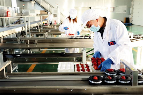 鄂爾多斯 建設農副產品電商服務中心，賦能養生保健服務新生態